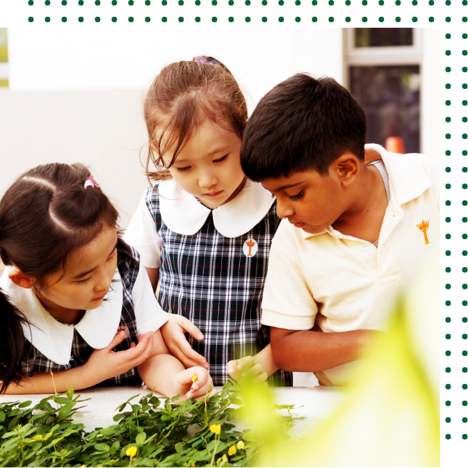 Maple Leaf Kingsley International School in Subang Jaya