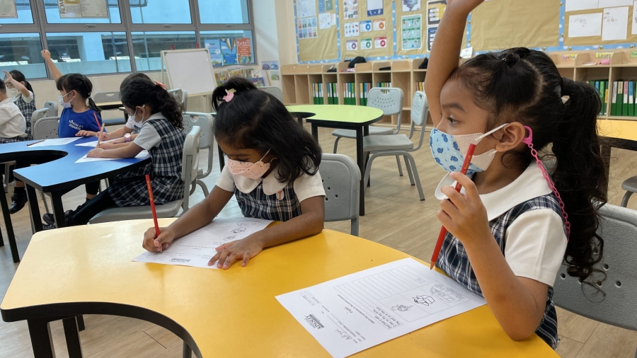 MLKIS Article 7