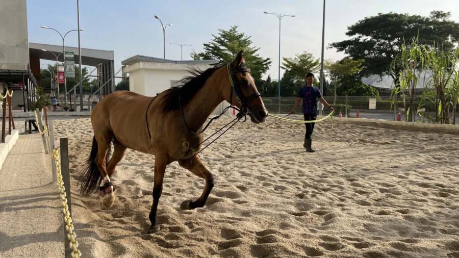 MLKIS-Article-10-IMG_9199-scaled