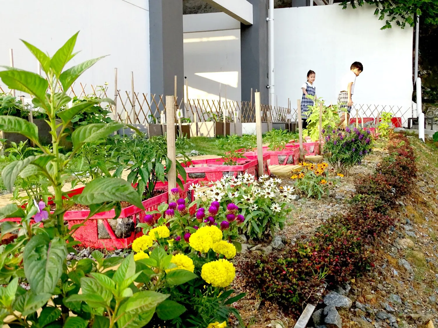 MLKIS A1 – Image 1 scaled 1