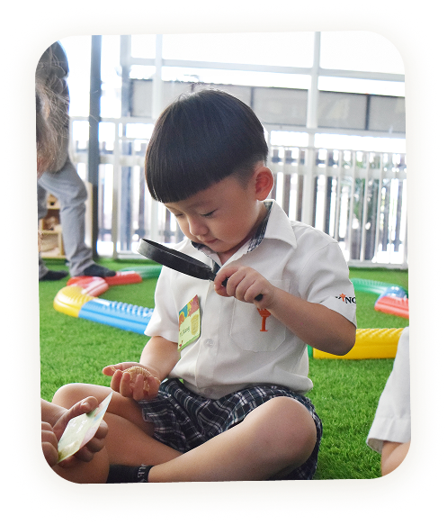 Rectangle 4501images