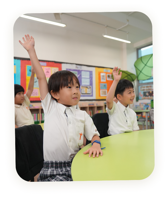 Rectangle 4501primary