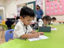 IMG 3937 from Nova Marong