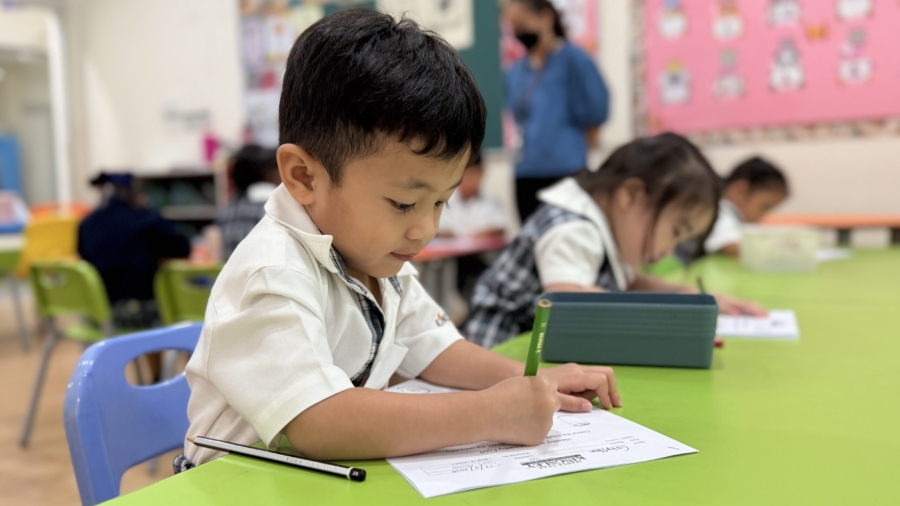 IMG 3937 from Nova Marong